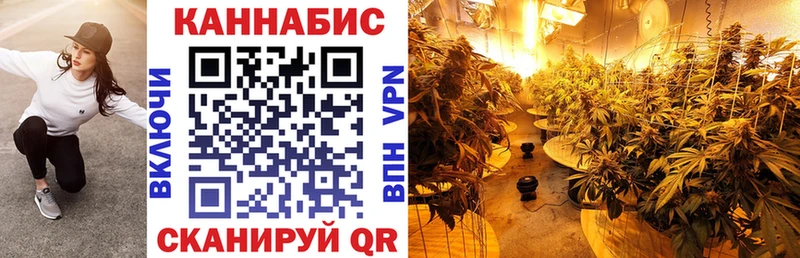 Купить закладки  Южноуральск  Марихуана планчик 
